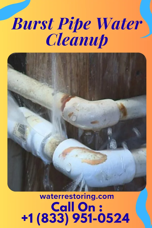 Burst Pipe Water Cleanup in Natchitoches, LA
