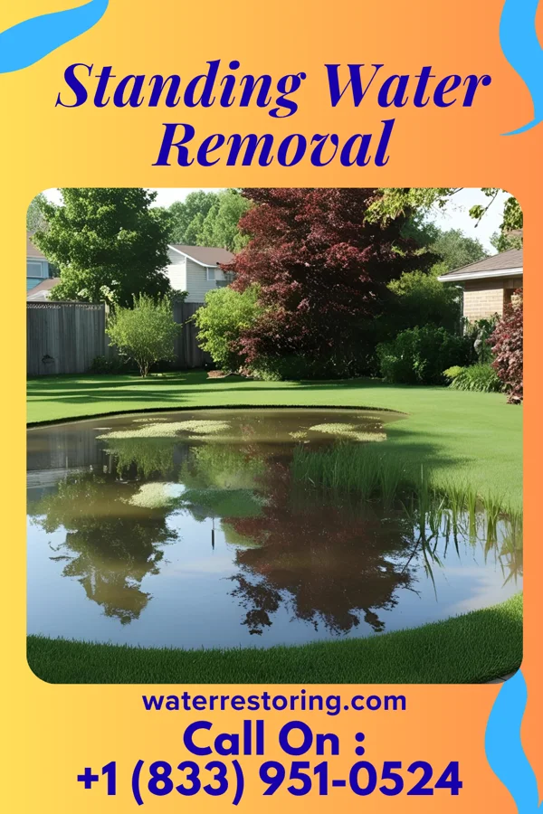 Standing Water Removal in Natchitoches, LA